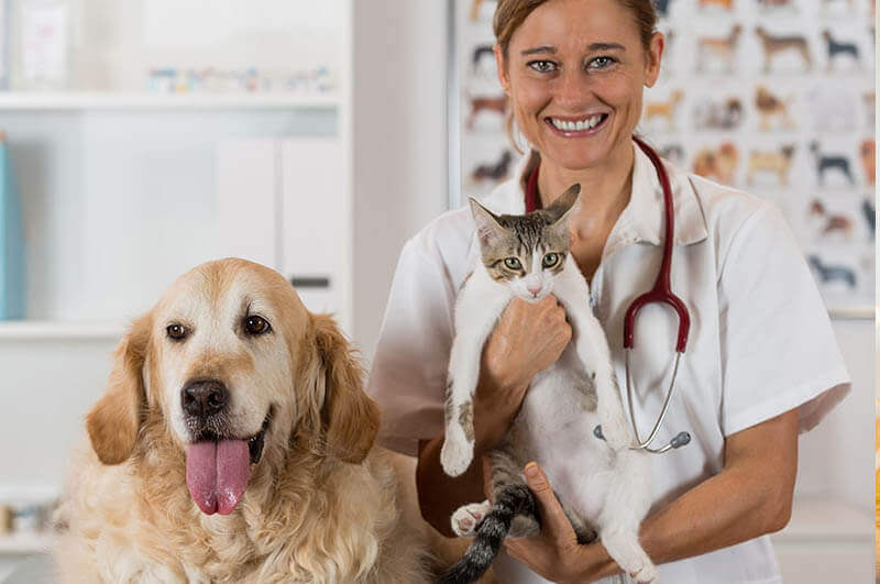 Ottawa Animal Hospital Committed to providing the best care for your